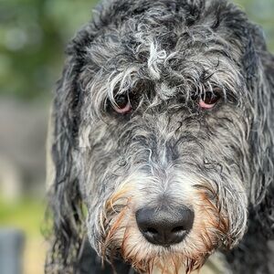 Meet your Posher, Terri